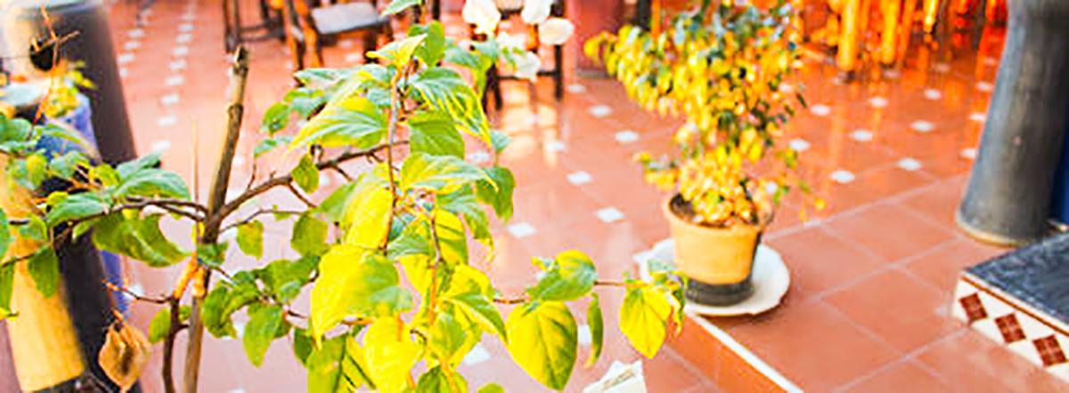 Jad Auberge Ourika Ngoại thất bức ảnh